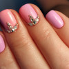 1954_160320-glgrst